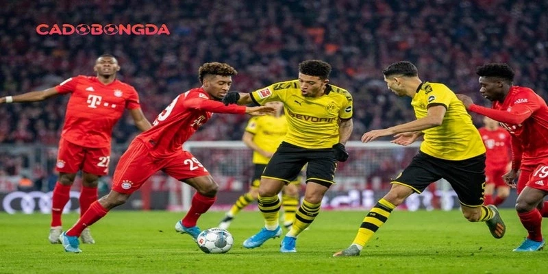 Cược chấp với các tỷ lệ đa dạng giúp cân bằng sức mạnh hai đội bóng