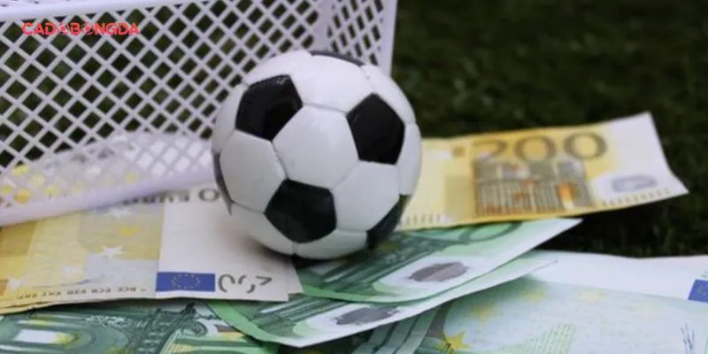 Đọc kỹ các điều khoản về luật chơi cho người chơi