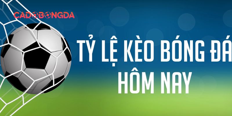 Thông tin khái quát về thuật ngữ tỷ lệ