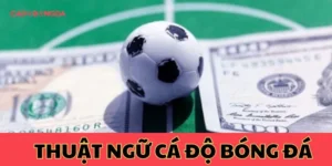 Thuật ngữ cá độ bóng đá