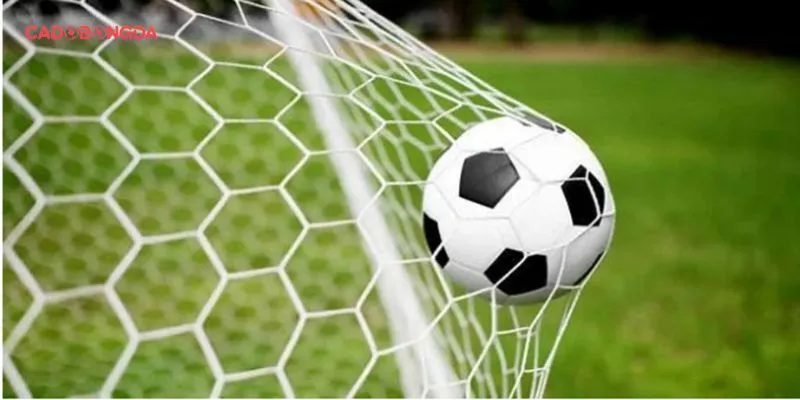 Bật mí kỹ năng áp dụng thuật ngữ trong cá cược bóng đá